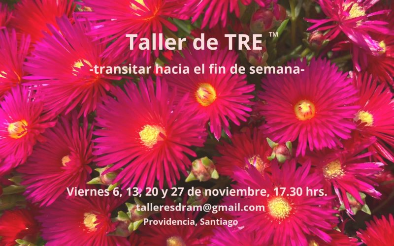 TALLER DE TRE ™ (6)
