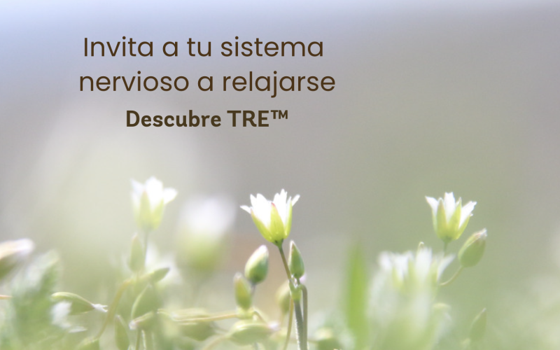 TRE ejercicios para la liberación de la tensión el estrés y el trauma - Beatriz Albertz - vincularnos - online c- certificación facilitadores